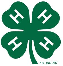 4-H Logo