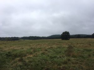 Cover photo for Pasture Management Session at NC Annual Ext. Conference