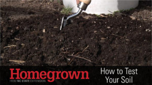 Cover photo for Qualla Boundary Soil Tests: Test Your Garden, Lawn or Farm’s Soil