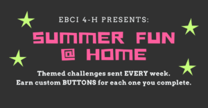 Cover photo for 2020 4-H Summer Fun at Home