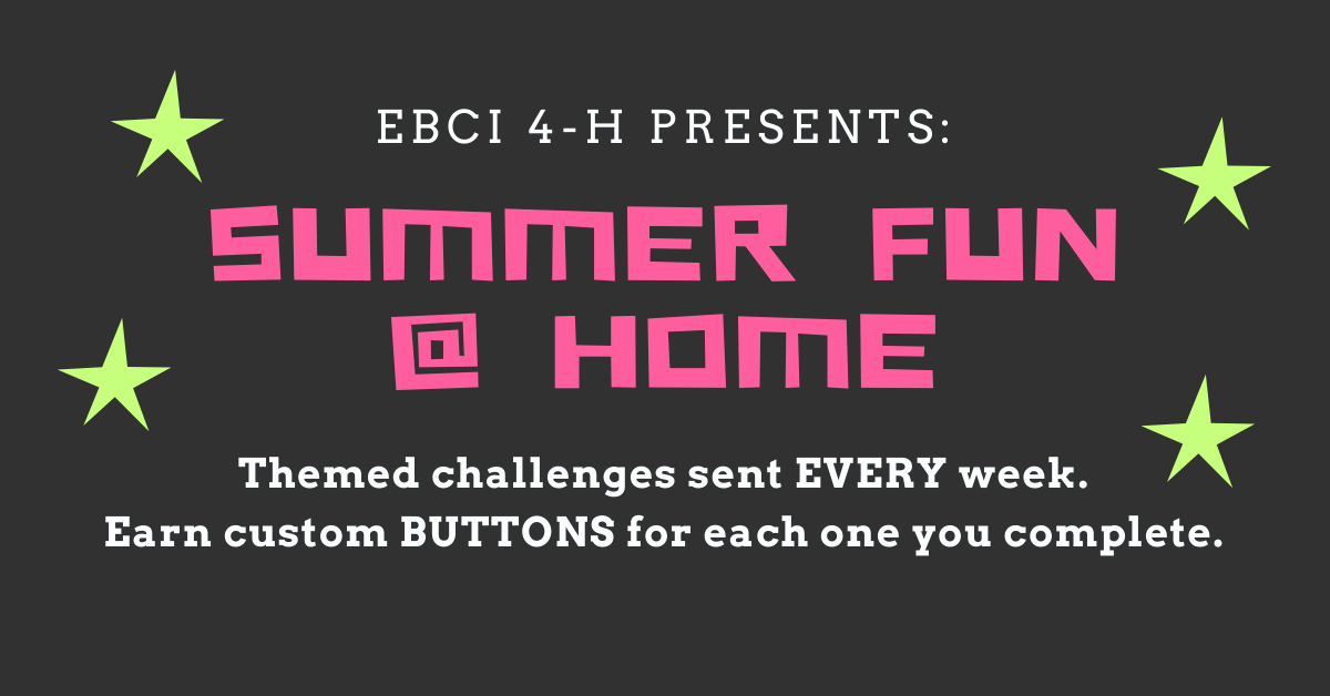 Summer Fun at Home banner