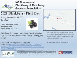 Cover photo for NC Commercial Blackberry and Raspberry Growers Association 2021 Field Day
