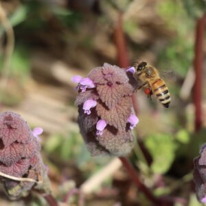 Cover photo for Know Your Market: Foothills Farmers Learn to Thrive